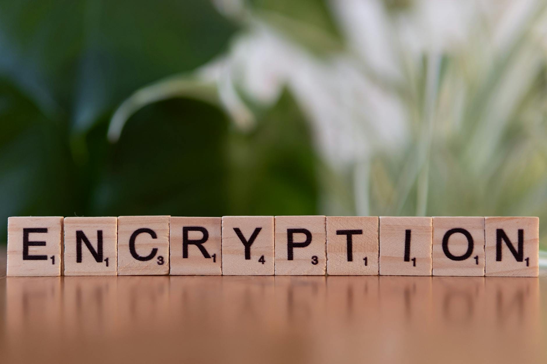 Zbliżenie na drewniane kostki z napisem encryption symbolizujące ochronę danych